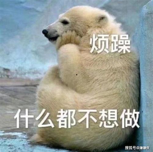 今日吃瓜吃人图片大全,图片大全揭秘娱乐圈风云变幻