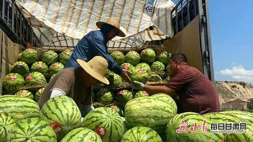 靖远硒砂瓜今日价,价格行情一览