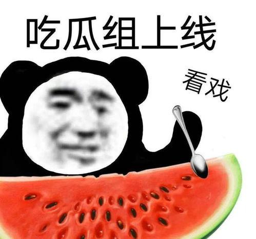 黑料吃瓜a,网络舆论背后的真相与反思