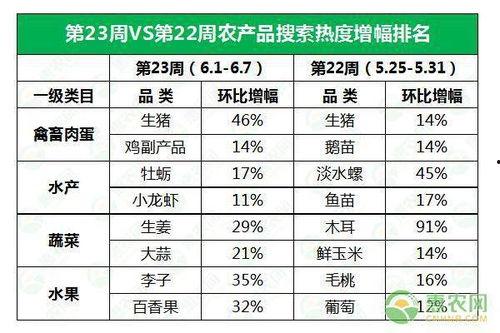 面瓜价格今日价格行情,涨跌波动解析”