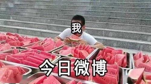 红领巾爆料吃瓜在线,吃瓜在线，揭秘娱乐圈幕后真相