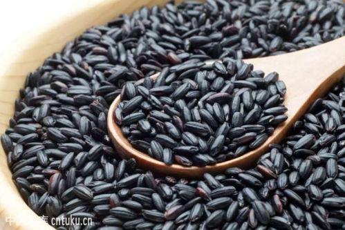 黑米与老瓜能一起吃吗有毒吗,黑米与老瓜同食安全吗？揭秘潜在毒性问题