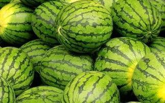 西瓜特效吃瓜爆料,一场夏日清凉的狂欢盛宴