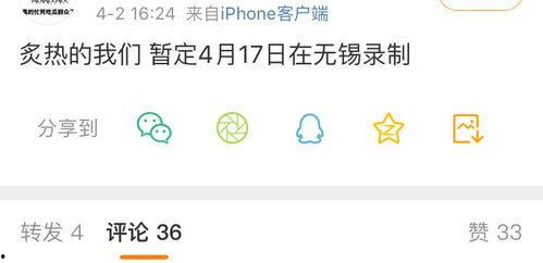 全网吃瓜爆料网盘,揭秘神秘网盘背后的秘密