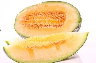 首衡蜜瓜今日价格行情,甜蜜价格波动解析
