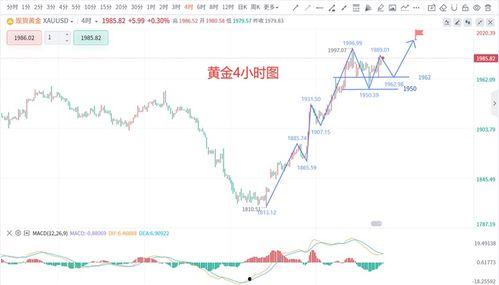 晴蓝福瓜今日价格走势,今日走势解析