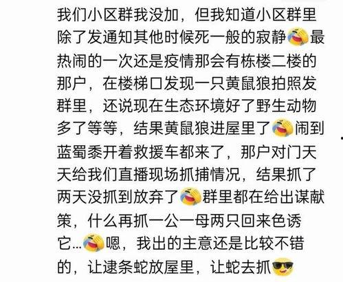文综吃瓜大爆料,揭秘幕后真相与精彩瞬间