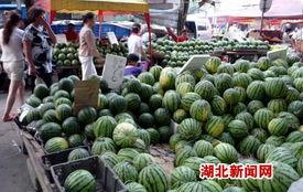 武汉汉瓜今日行情,价格波动与市场动态一览