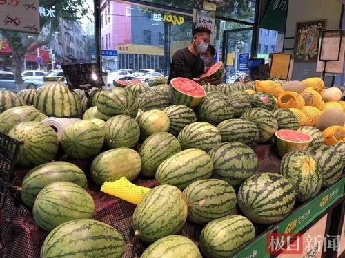 武汉汉瓜今日行情,价格波动与市场动态一览