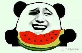 黑柴吃瓜噎着了怎么回事,揭秘宠物饮食安全常识