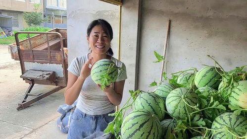 农村吃瓜爆料视频大全,揭秘乡村生活趣味瞬间