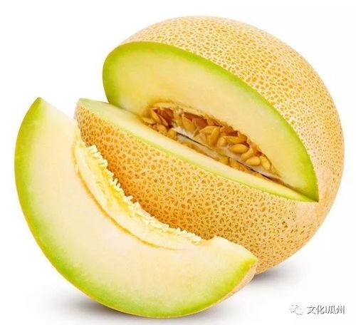今日瓜州的哈密瓜价格,今日行情一览