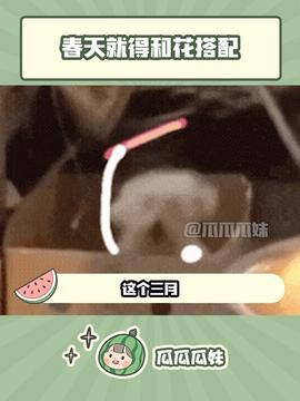 今日头条官瓜,揭秘平台最新动态与热点事件！