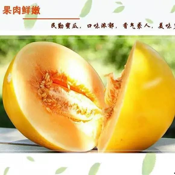 今日蜜瓜报价,甜蜜来袭，价格行情一览