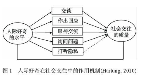 吃瓜爆料分析,吃瓜爆料背后的真相与内幕