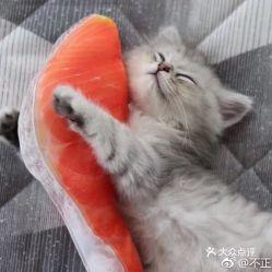 瓜沥星际影城今日影讯,热门大片与经典重映