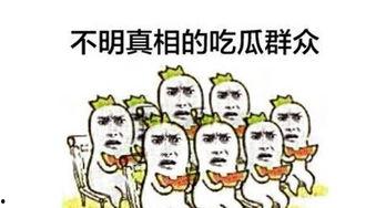 今日吃瓜群众在线观看,在线观看盛宴，揭秘热门事件幕后真相
