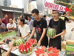 朝阳吃瓜爆料入口,独家内幕大公开