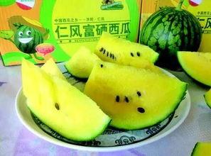 朝阳吃瓜爆料入口,独家内幕大公开