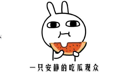 今日吃瓜热门事件是什么,揭秘娱乐圈最新“瓜王”事件