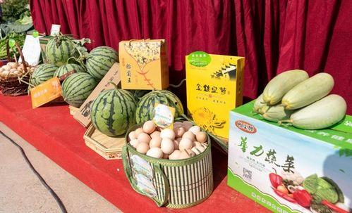 淮北爆料吃瓜事件视频,视频揭露惊人真相