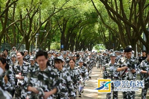 吃瓜爆料军训,揭秘校园里的“吃瓜”爆料