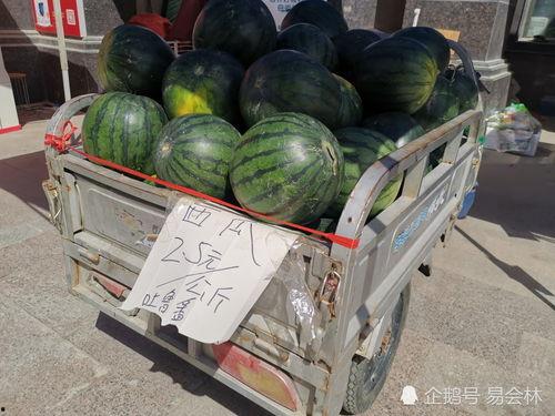 乌市今日大瓜,揭秘惊人内幕，引发社会热议