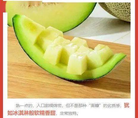 今日网纹瓜价,市场行情一览