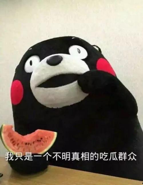 大猫吃瓜爆料表情包,揭秘网络热图的趣味与内涵