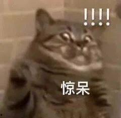大猫吃瓜爆料表情包,揭秘网络热图的趣味与内涵