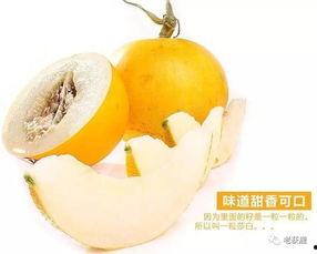 沙白瓜今日价格,市场行情一览