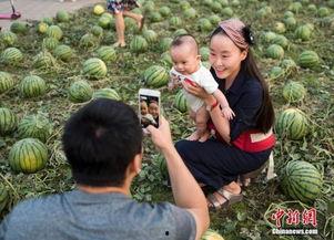 瓜田今日吃瓜,揭秘娱乐圈最新热点事件