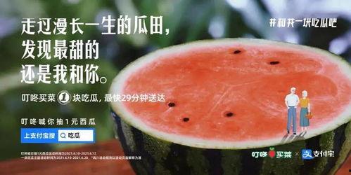 瓜田今日吃瓜,揭秘娱乐圈最新热点事件