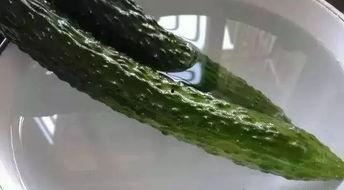 海角社区黑料吃瓜,黑料吃瓜背后的真相与争议