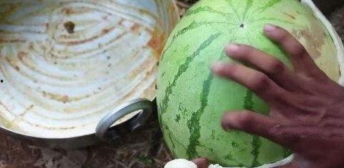 吃网红黑瓜视频大全集,揭秘网络红人幕后故事