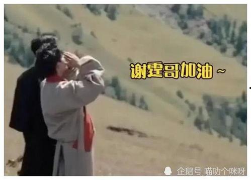 吃瓜爆料亲姐弟,亲姐弟的瓜，背后真相令人咋舌