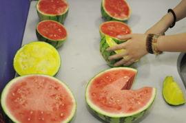 今日麒麟瓜,揭秘今日热门话题背后的故事