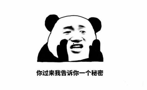 瓜娃子今日消息,揭秘最新动态，带你领略时事风云