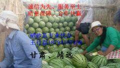 东莞石头瓜今日行情,价格波动，市场供需分析”