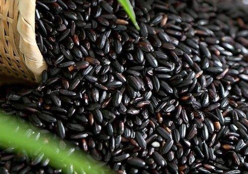 黑米和吊瓜可以一起吃吗,健康搭配，美味共享