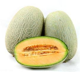 池河镇今日哈密瓜价格,新鲜上市，品质保证，价格实惠”