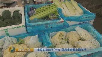 江桥批发市场今日瓜价,新鲜直供，价格实惠一览