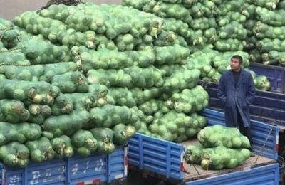 江桥批发市场今日瓜价,新鲜直供，价格实惠一览