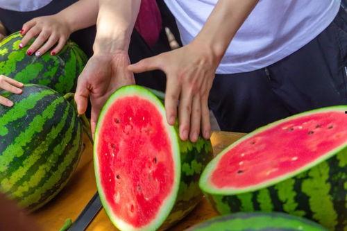 四川今日吃瓜事件视频,一场网络热议的幕后真相揭秘
