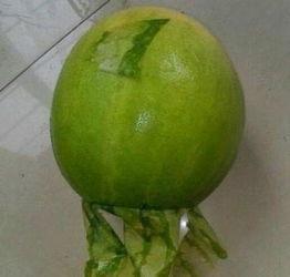 临海今日吃瓜事件最新情况