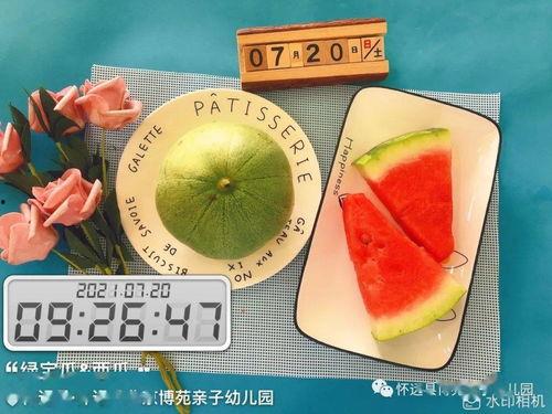 绿宝瓜今日价格表