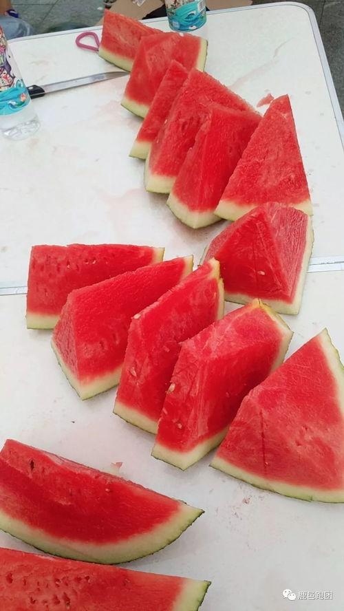 51大赛今日吃瓜必吃,今日吃瓜必看精彩瞬间