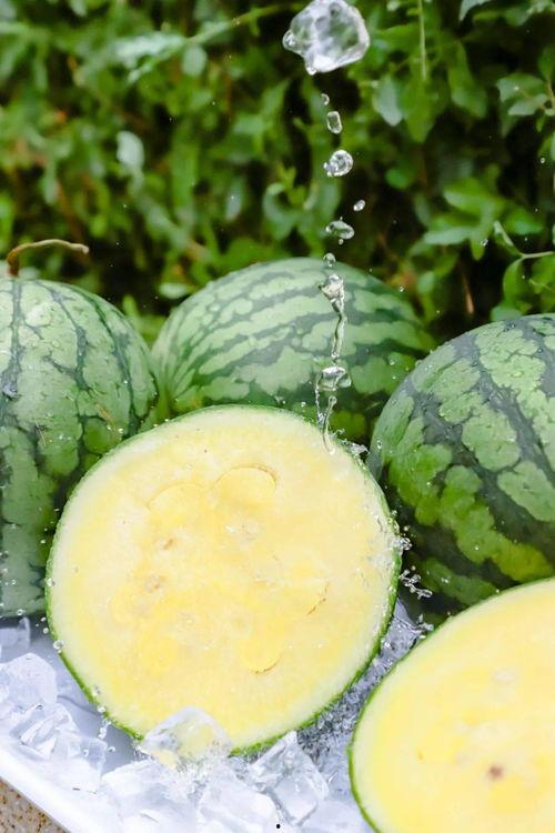 115su吃瓜黑料在线,网络舆论背后的真相与反思