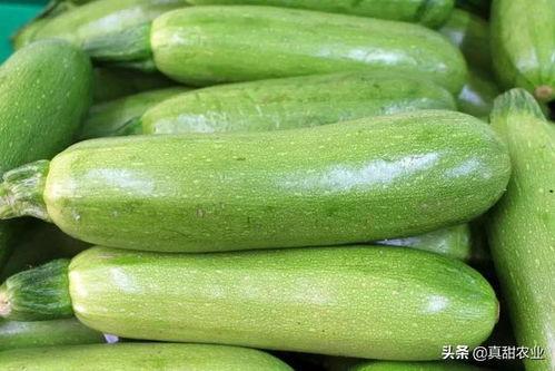 小吊瓜今日行情走势最新,今日走势解析