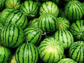 阳新县吃瓜爆料,揭秘当地热点事件背后的真相